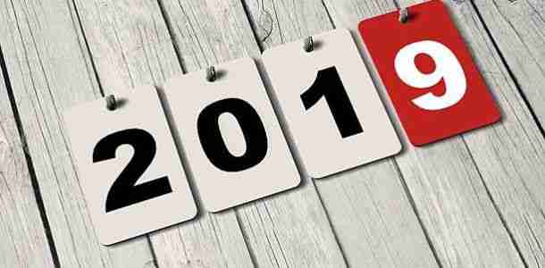 Когда начинается год Свиньи в 2019 году по восточному календарю: описание 2019 год, характеристика