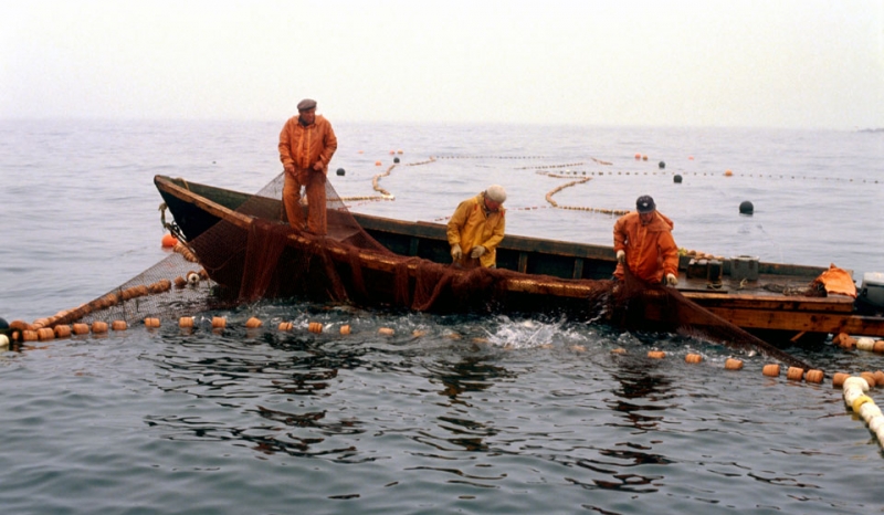 День рыболовства 2020: какого числа, история и традиции праздника