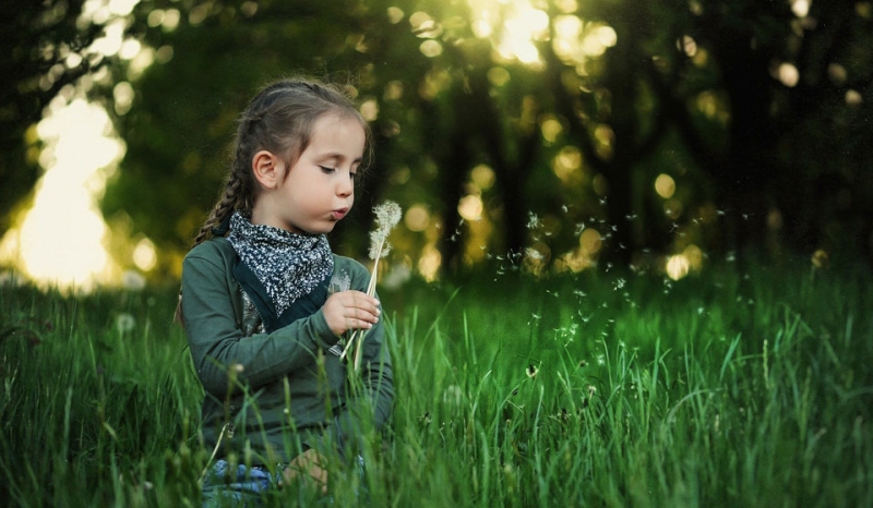 Приметы лета 2020 для детей: как определить по природе, что нас ждет летом