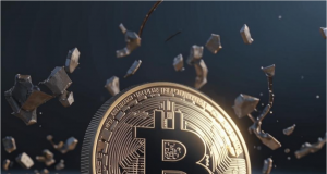 Coinwonk.com — отзывы и полезная информация